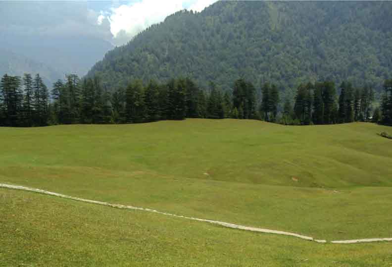 Green Meadows of Himachal Trek